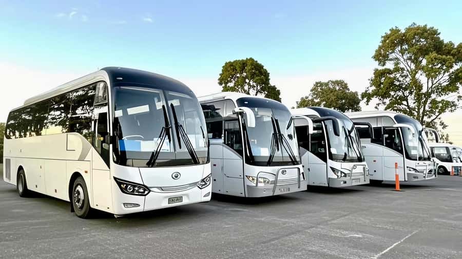 Melbourne Great Ocean Road Benz SmallGroup&LuxCoach BigGroup - Why the reverse route matters on a 13-hour day