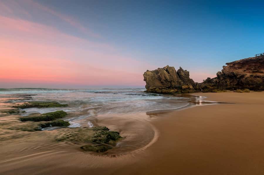 Melbourne: Great Ocean Road Day Tour with kangaroos & koalas - A chocolate drink before the coast