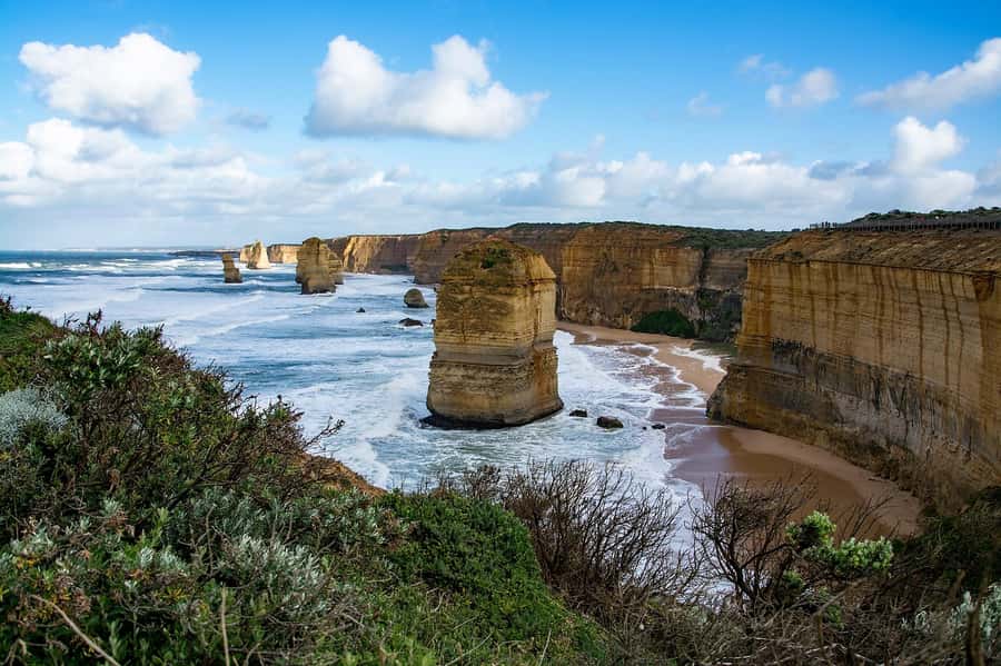 Melbourne: Great Ocean Road & Rainforest Trip - The Otway rainforest changes the pace
