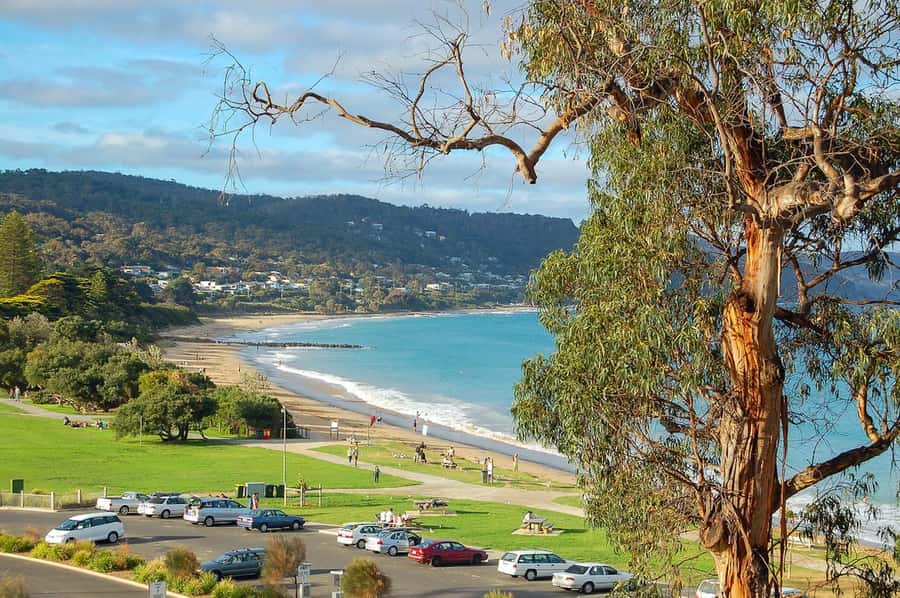 Melbourne: Great Ocean Road to 12 Apostles via the Coastline - Key points to know before booking