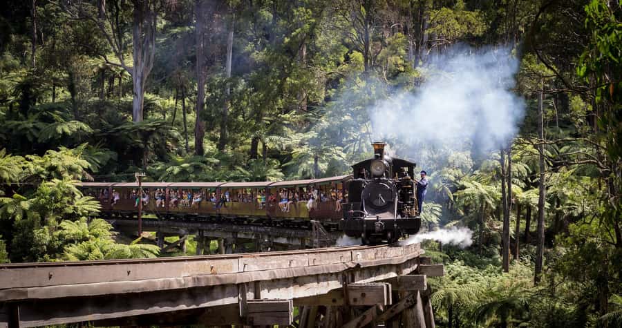 Melbourne: Half-Day Puffing Billy Steam Train Experience - The one-hour ride through the Dandenong Ranges