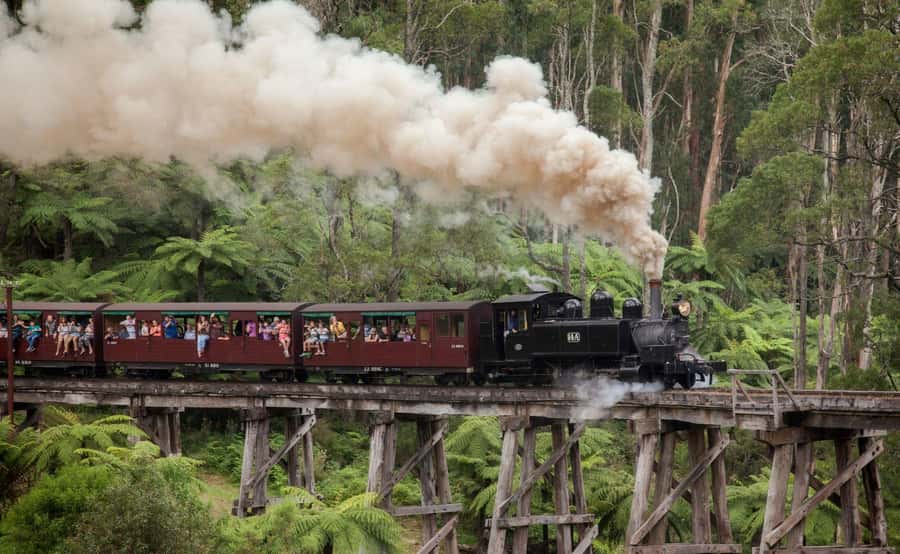 Melbourne: Half-Day Puffing Billy Steam Train Experience - Is $126 a fair price?