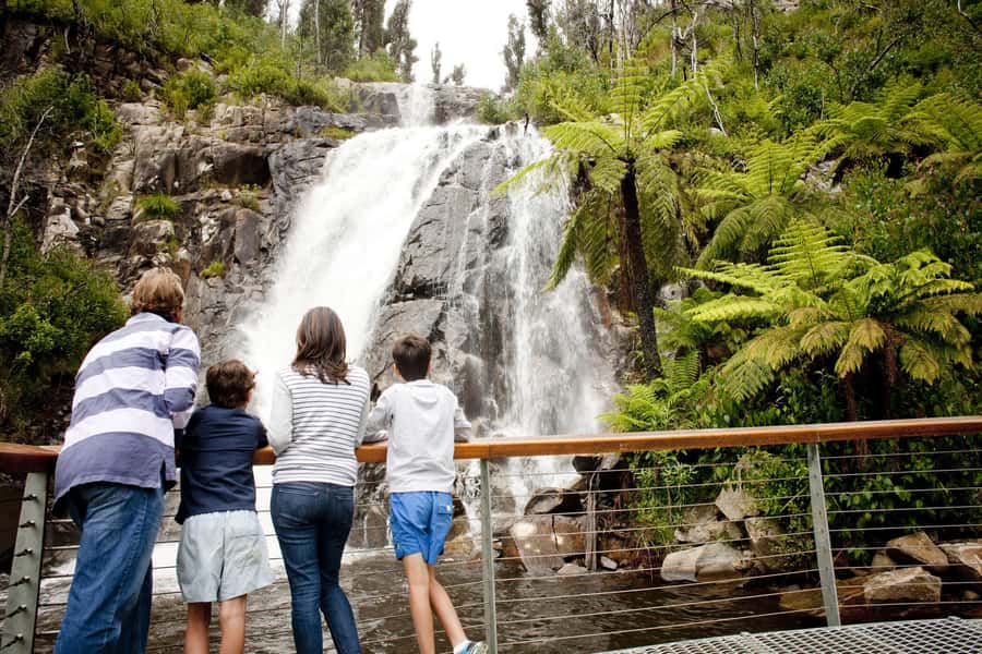 Melbourne: Lake Mountain Snow Day and Waterfalls & Chocolate - What this $127 day trip really gives you