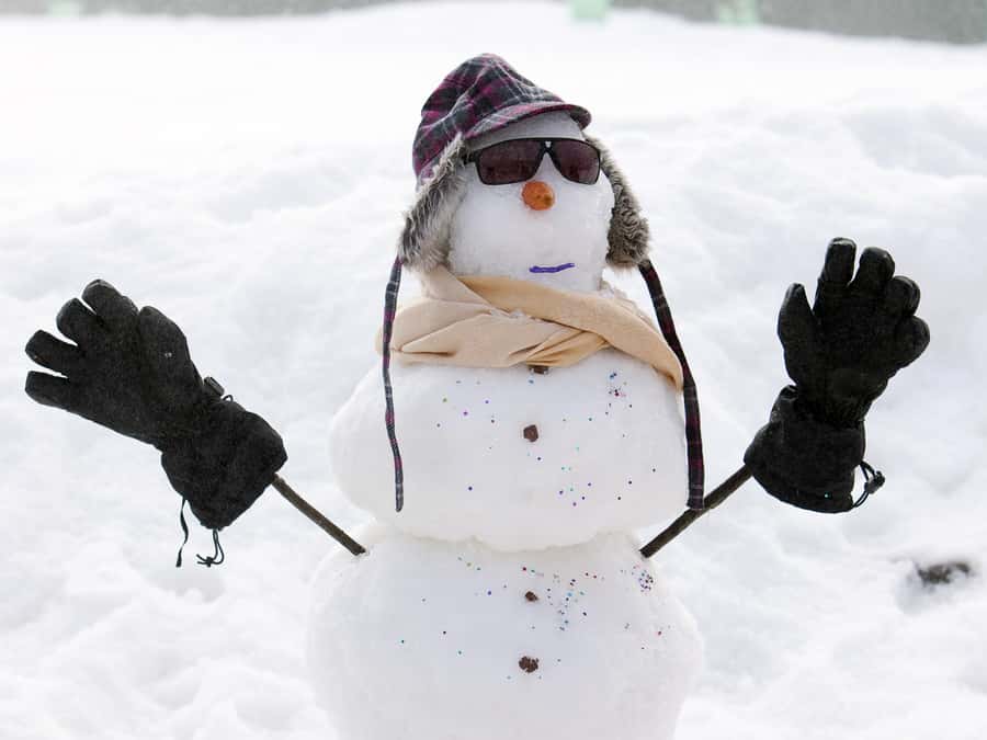 Melbourne: Lake Mountain Snow Guided Tour - Three hours of snow play at Lake Mountain