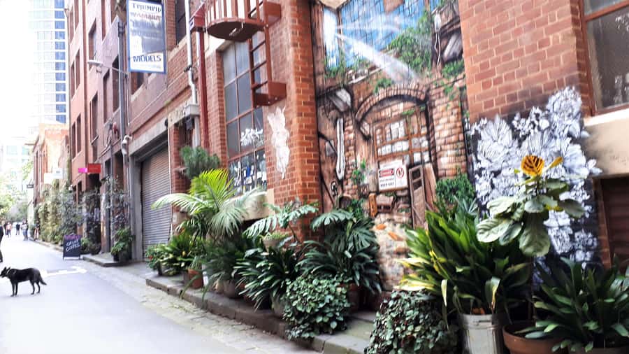 Melbourne Laneways Tour - What the $91 price means in practical terms