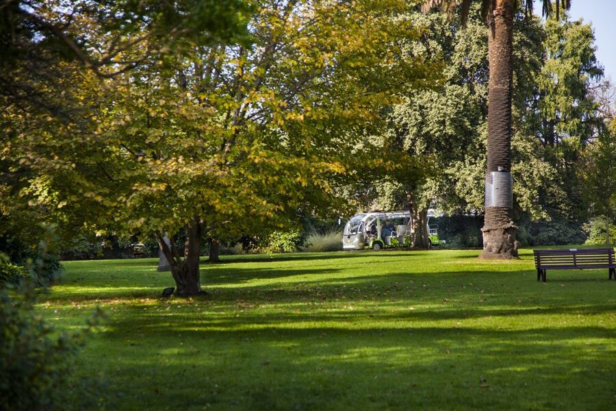 Melbourne: Melbourne Gardens Explorer Minibus Tour - What the 30-Minute Ride Actually Gives You