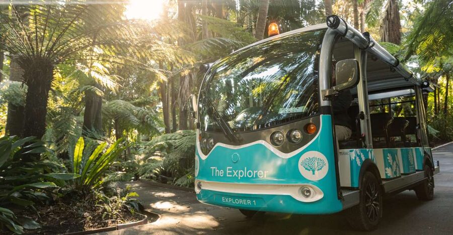 Melbourne: Melbourne Gardens Explorer Minibus Tour - The Ornamental Lake and Its Waterbirds