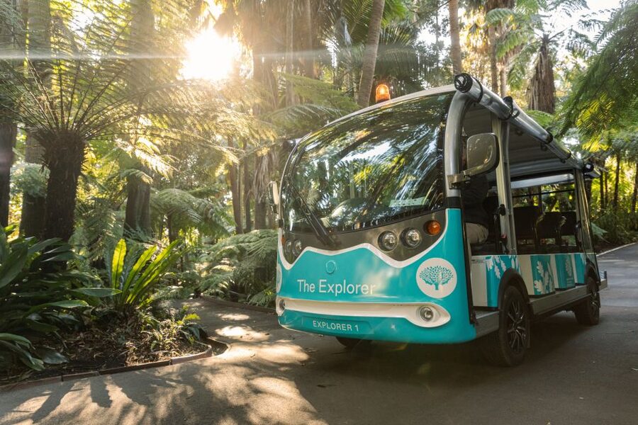 Melbourne: Melbourne Gardens Explorer Minibus Tour - Why the $10 Price Works