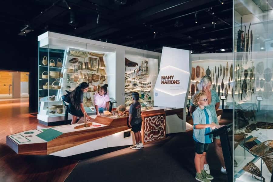 Melbourne: Melbourne Museum Entry Ticket - A three-hour route through science and natural life