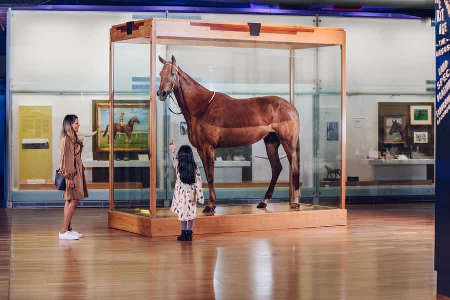 Melbourne: Melbourne Museum Entry Ticket - Is the $12 ticket good value?