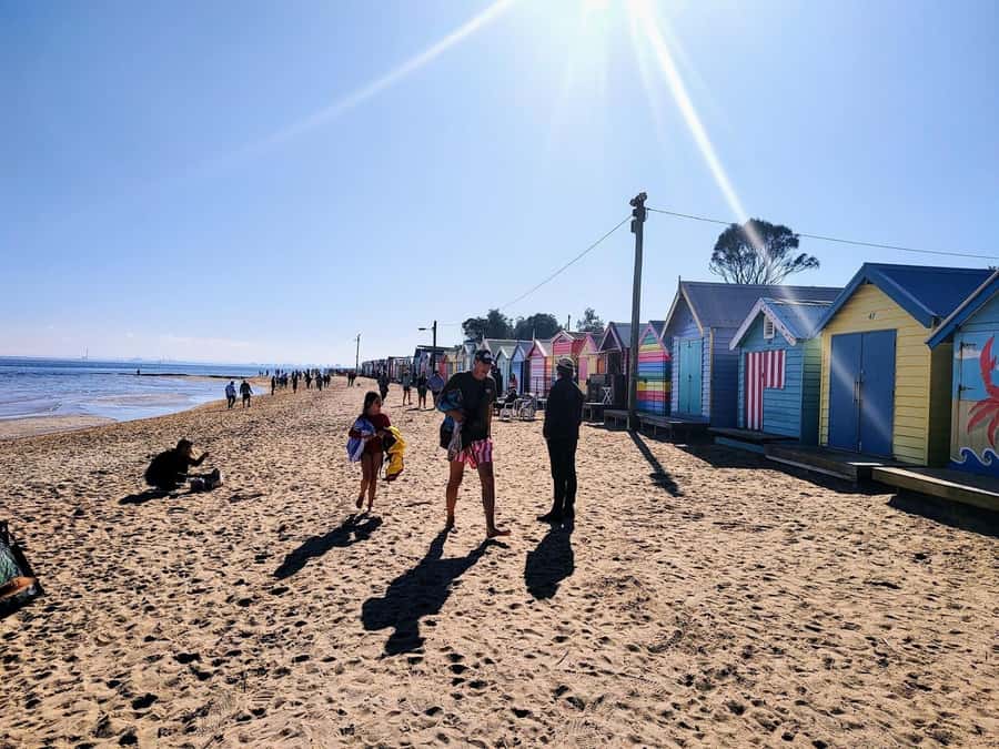 Melbourne: Moonlit Sanctuary and Brighton Beach Boxes Tour - Key points at a glance