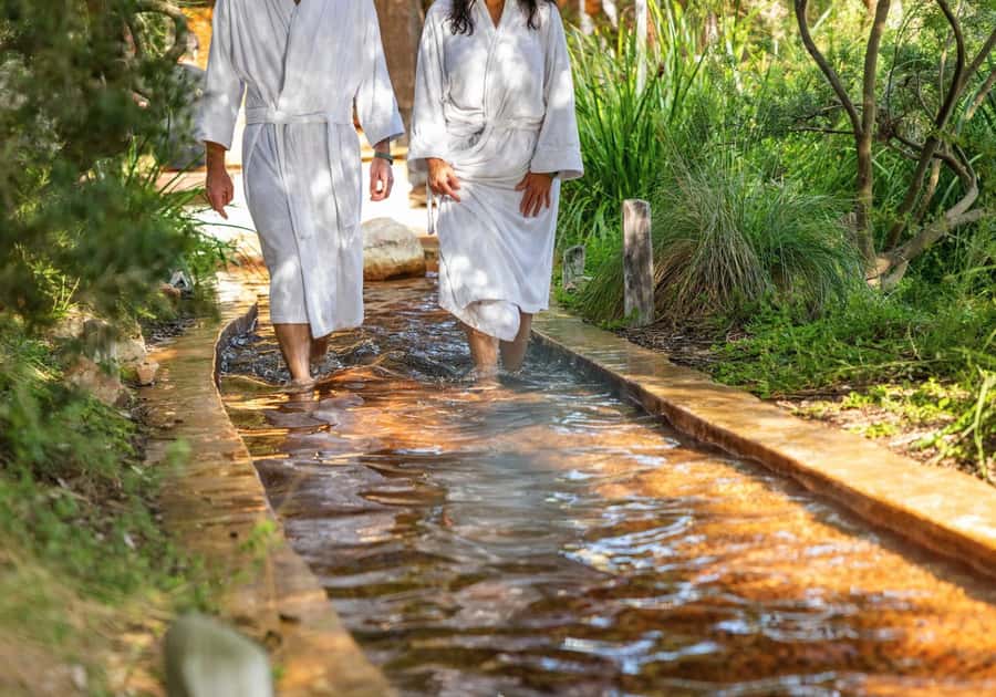 Melbourne/Mornington: Peninsula Hot Springs and Winery Tour - The drive in a premium midi-coach