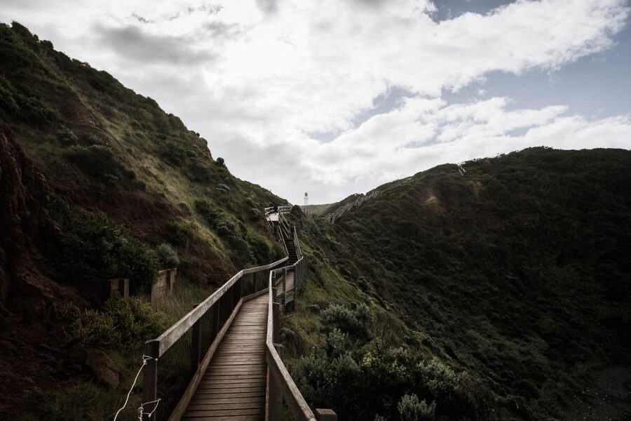 Melbourne: Mornington Peninsula & Hot Springs Tour 8 pax max - Cape Schanck and the lighthouse precinct