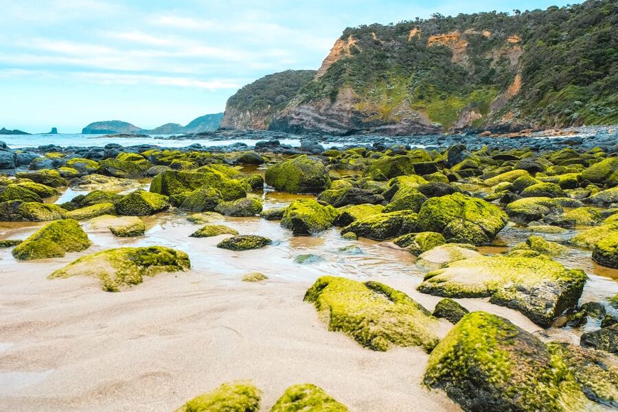 Melbourne: Mornington Peninsula & Hot Springs Tour 8 pax max - What the $184 price really covers
