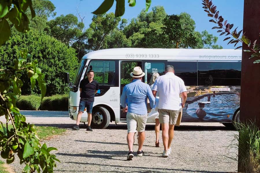 Melbourne: Peninsula Hot Springs Early Bathing & Scenic Tour - Three hours among 50 geothermal bathing experiences