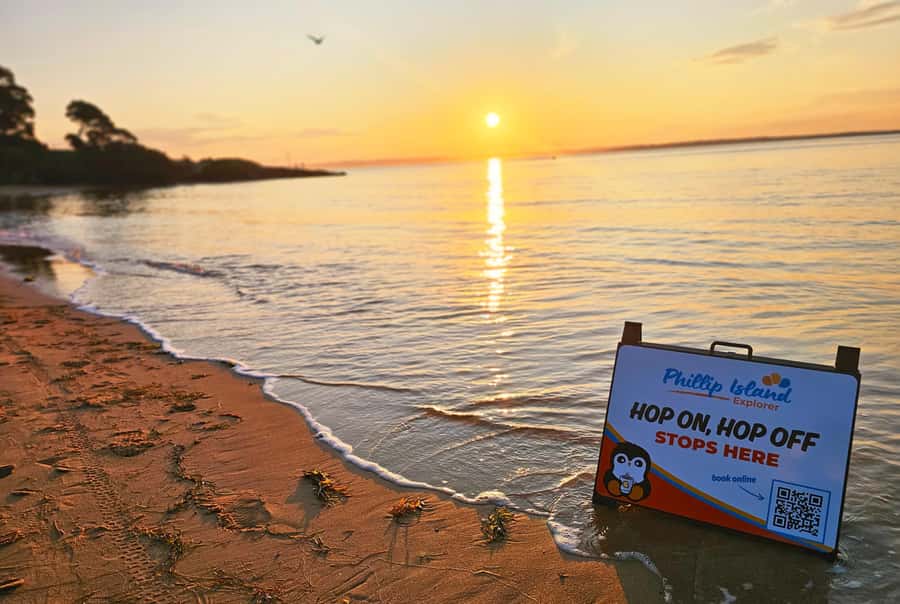 Melbourne: Phillip Island Tour w/ Hop-on Bus or Seal Cruise - Who should choose this Phillip Island tour