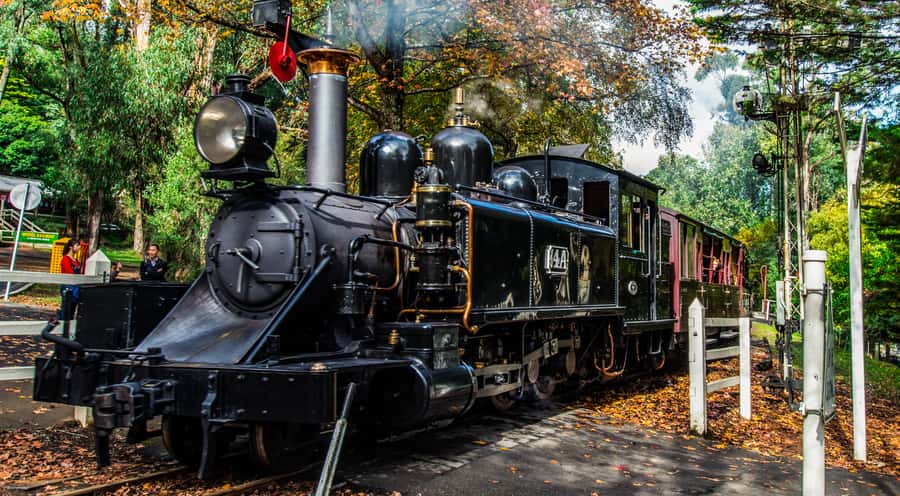 Melbourne: Puffing Billy & Healesville Sanctuary Scenic Tour - Should you book it?