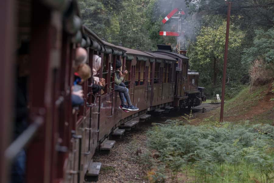Melbourne: Puffing Billy Railway & Penguin Parade Day Tour - Who should choose this tour?
