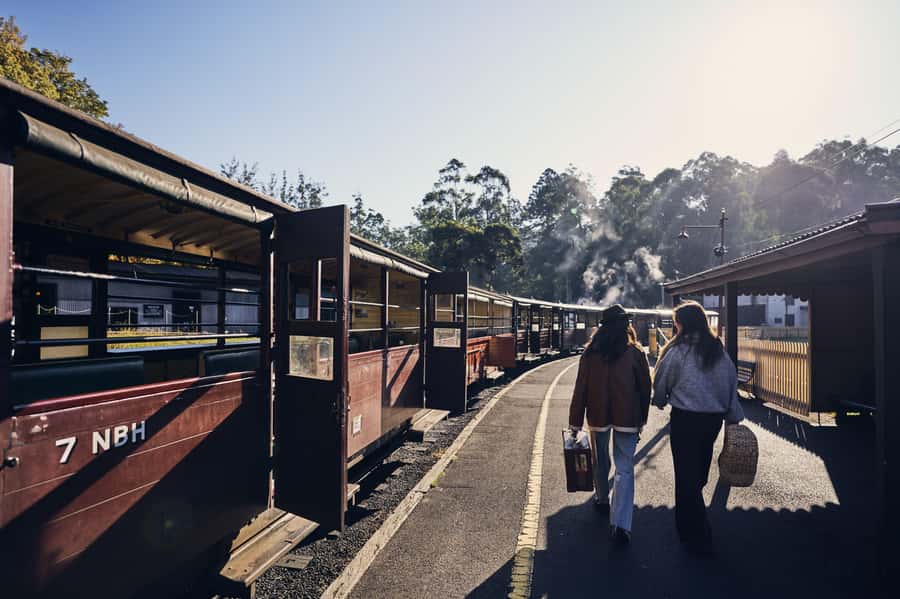 Melbourne: Puffing Billy Railway & Rainforest Tour - Key points to know before booking