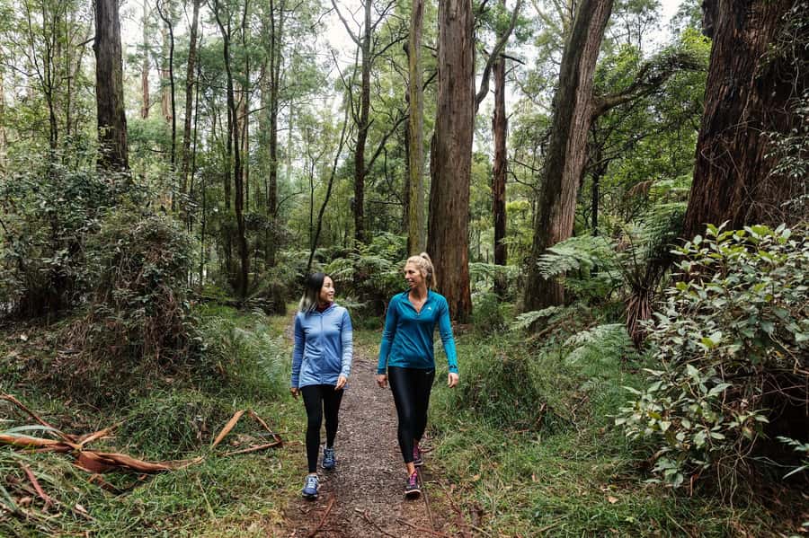 Melbourne: Puffing Billy Railway & Rainforest Tour - The scenic route toward Belgrave