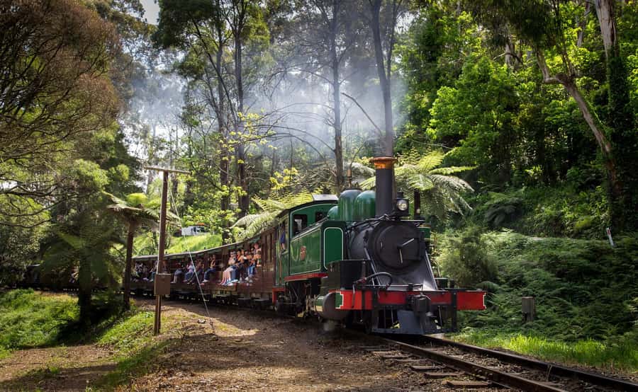 Melbourne: Puffing Billy Railway & Rainforest Tour - How the guides shape the day