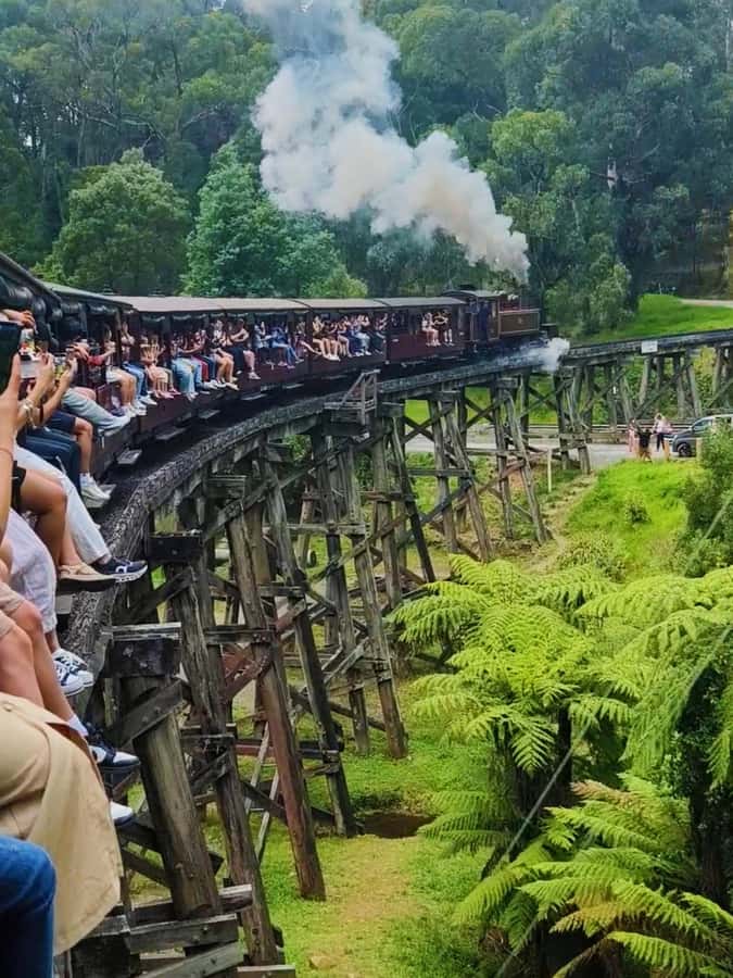 Melbourne: Puffing Billy Train and Penguin Island Day Tour - Puffing Billy and the Dandenong Ranges