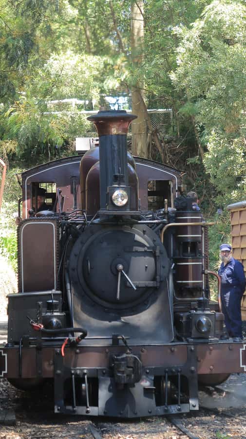 Melbourne: Puffing Billy Train and Penguin Island Day Tour - Maru Koala and Animal Park, an optional paid stop