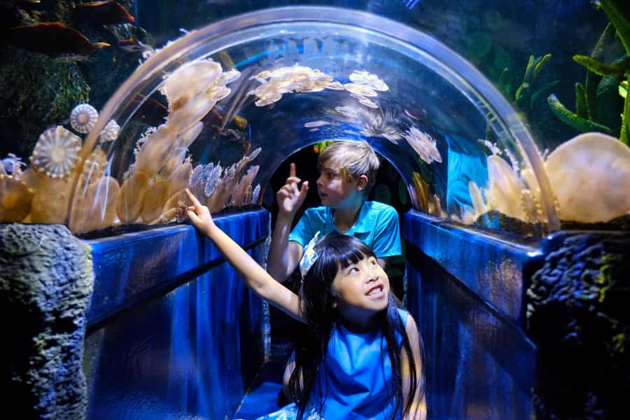 Melbourne: SEA LIFE Aquarium Entrance Ticket - Key points at a glance