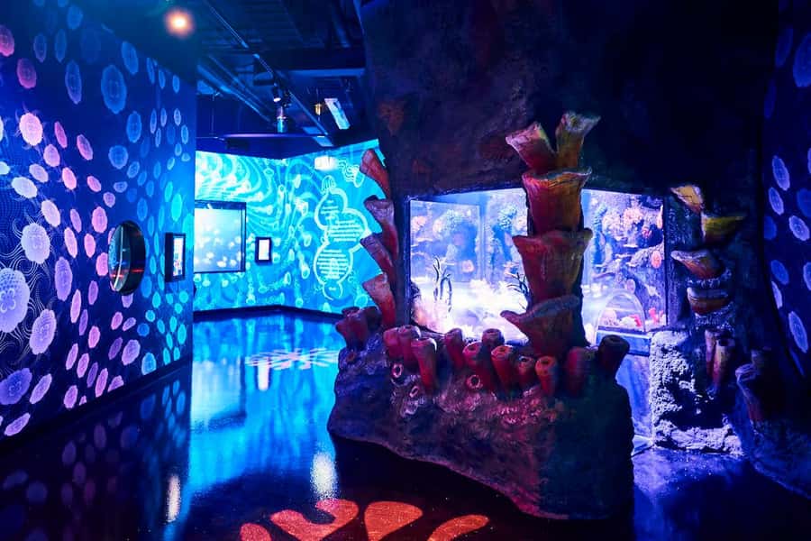 Melbourne: SEA LIFE Aquarium Entrance Ticket - What $28 gets you, and when it feels worthwhile