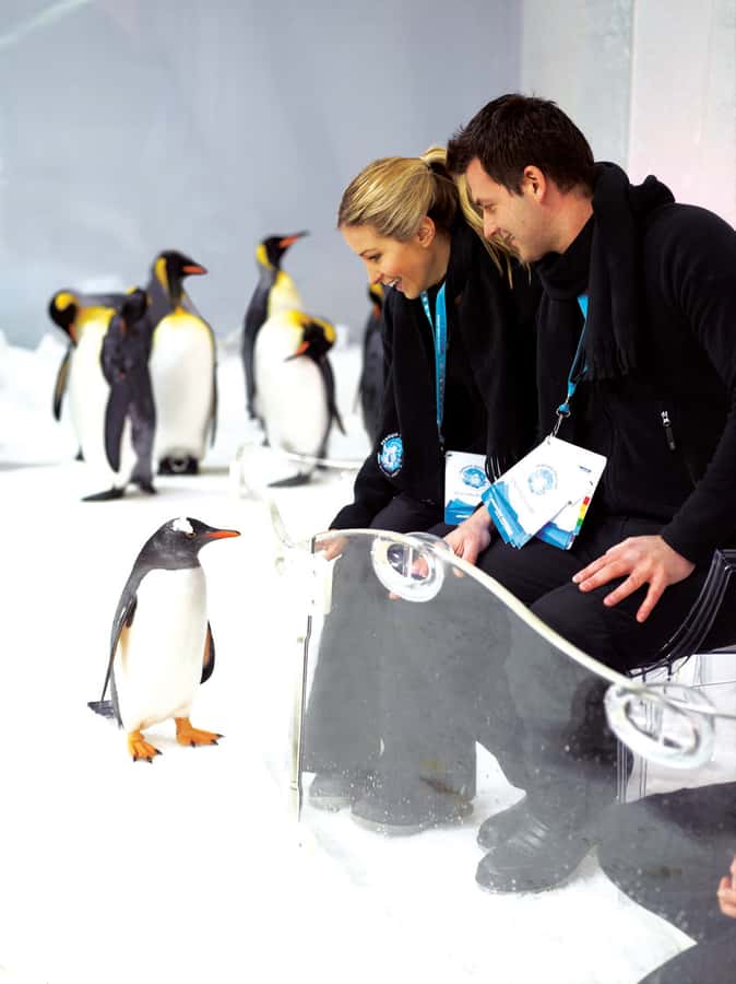 Melbourne: SEA LIFE Aquarium Entrance Ticket - Finding SEA LIFE beside the Yarra River