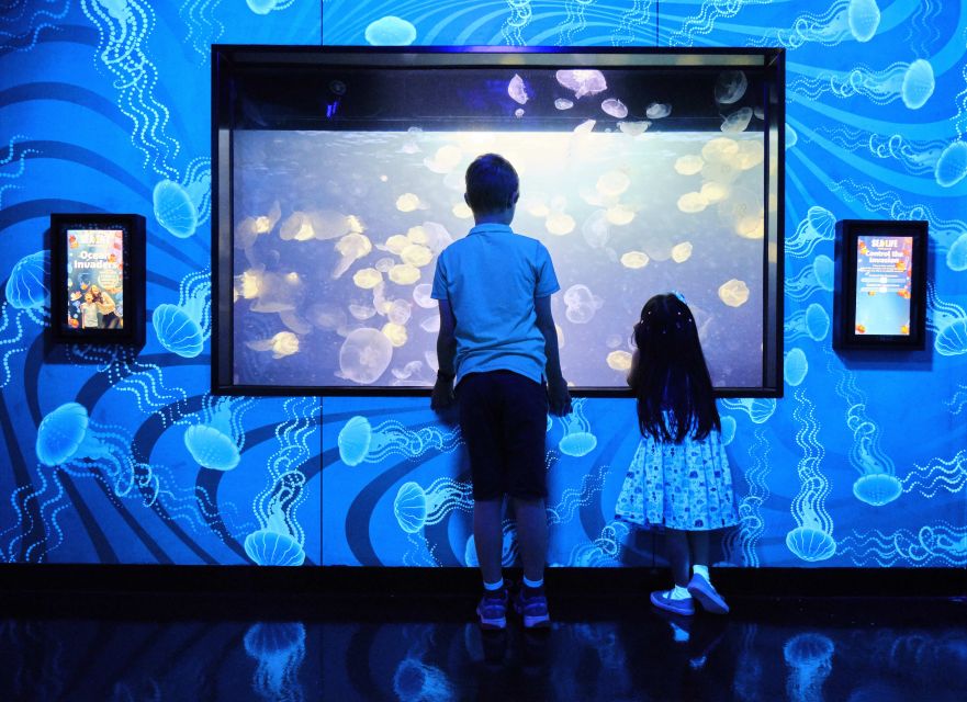 Melbourne: SEA LIFE Aquarium Entrance Ticket - Ocean Invaders and the world of jellyfish