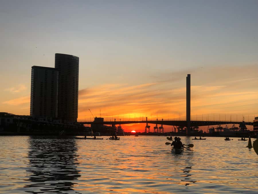 Melbourne: Sunset Kayak Tour with Dinner - What the $84 price includes