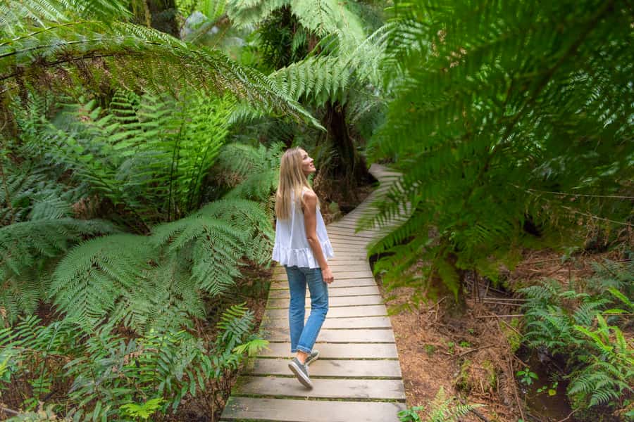 Melbourne to Adelaide: 2-Day Overland Explorer Tour - Guides, meals, and the value of the package