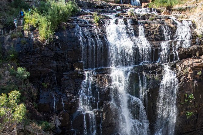 Melbourne to Adelaide: 3-Day Great Ocean Road Grampians Tour - The guides make a real difference
