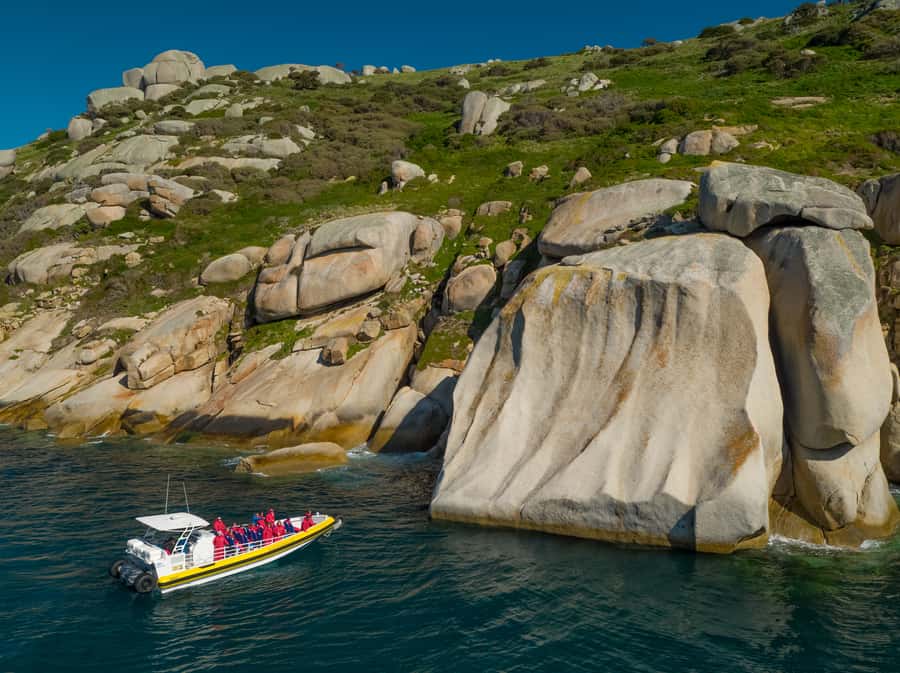 Melbourne: Wilsons Promontory Morning Wilderness Cruise - Key points to know before you go