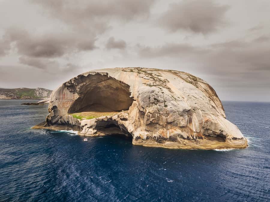 Melbourne: Wilsons Promontory Morning Wilderness Cruise - The amphibious boat is part of the fun