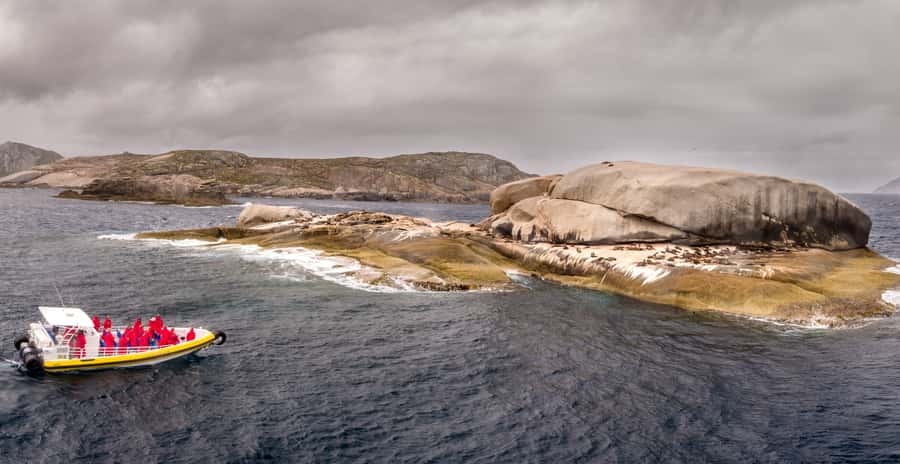 Melbourne: Wilsons Promontory Morning Wilderness Cruise - Seals, dolphins, and the chance of whales