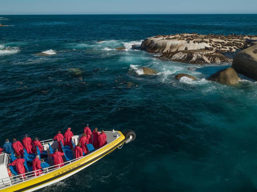 Melbourne: Wilsons Promontory Morning Wilderness Cruise - Starting at Tidal River and getting ready