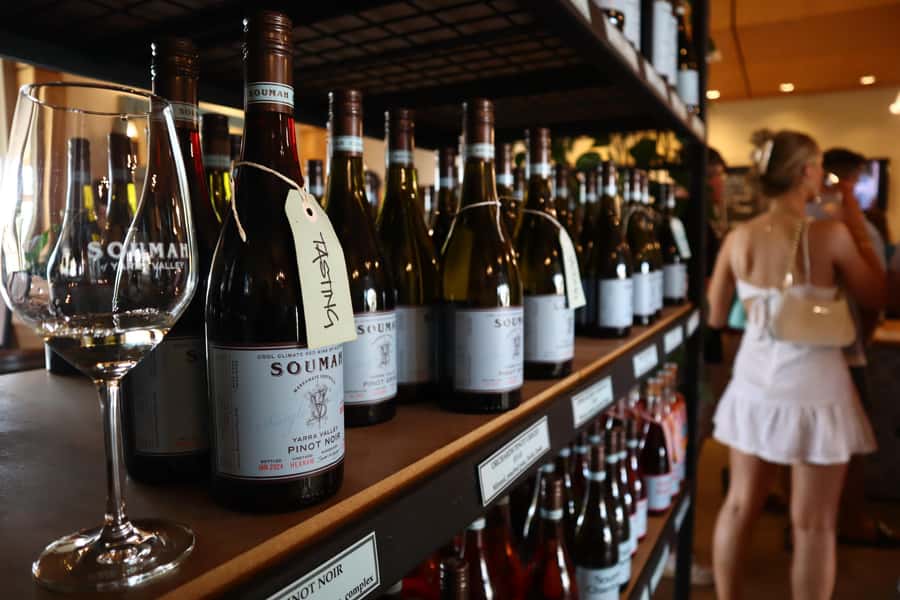 Melbourne: Yarra Valley Half-Day Wine Tour - The social side of a 15-person group