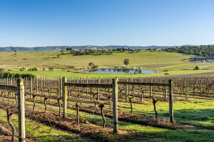 Melbourne: Yarra Valley Wine, Cider, Gin, Beer, & Choc Tour - Why this Yarra Valley tour feels different