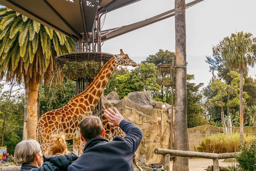 Melbourne Zoo: 1-Day Entry Ticket - Key points to know before you go
