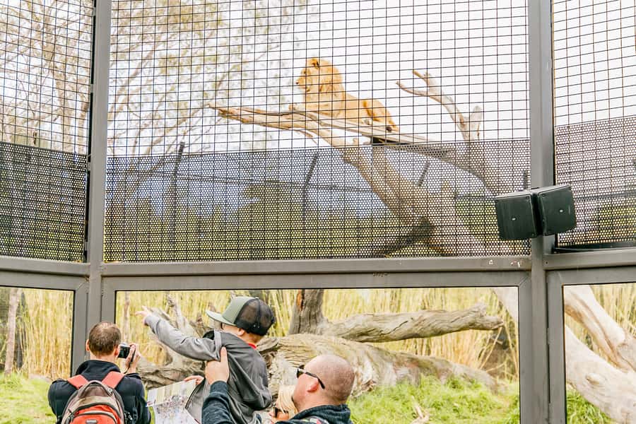 Melbourne Zoo: 1-Day Entry Ticket - Keeper presentations and volunteer help