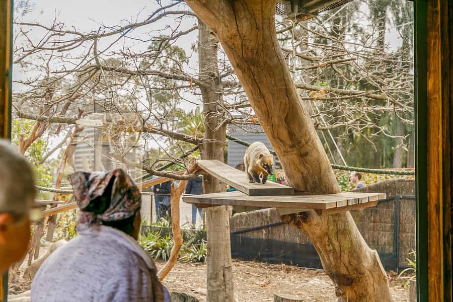 Melbourne Zoo: 1-Day Entry Ticket - Starting with the animal zones
