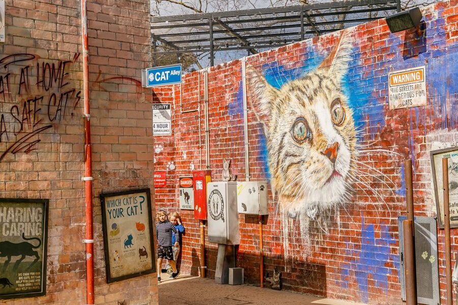 Melbourne Zoo: 1-Day Entry Ticket - Lion Gorge and the big cats