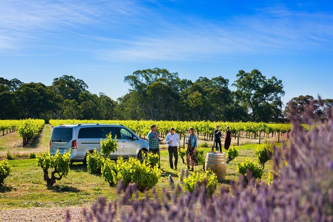 Micro-Group Barossa Valley Wine Tour from Adelaide - First two cellar doors: a useful introduction