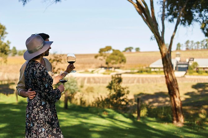 Micro-Group McLaren Vale Wine Tour from Adelaide - Why a six-person wine tour works well