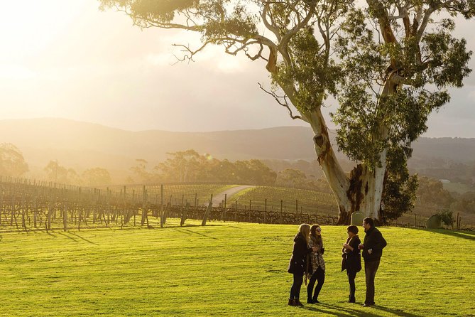 Micro-Group McLaren Vale Wine Tour from Adelaide - The d’Arenberg Cube and photo option