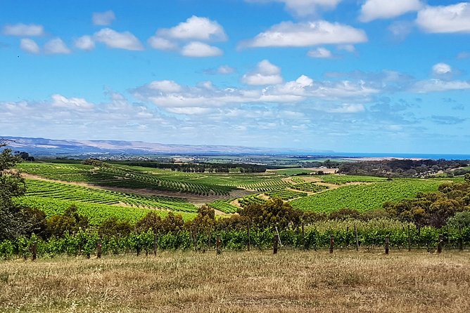Micro-Group McLaren Vale Wine Tour from Adelaide - What the $268.97 price really covers