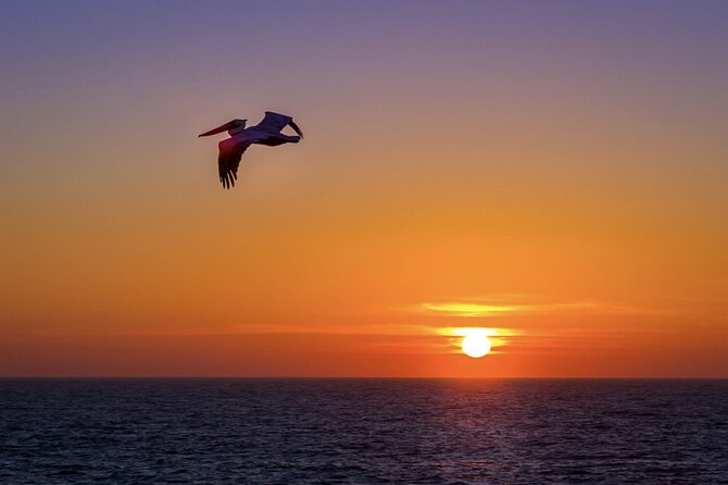 Milbi Sunset Cruise with Champagne and Prawns - Returning past Urangan Pier with easy music