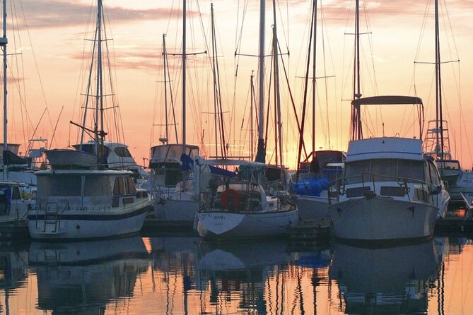 Milbi Sunset Cruise with Champagne and Prawns - Who will enjoy the Milbi most?